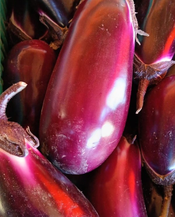 Melanzana seta