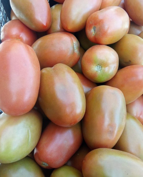 pomodori insalata
